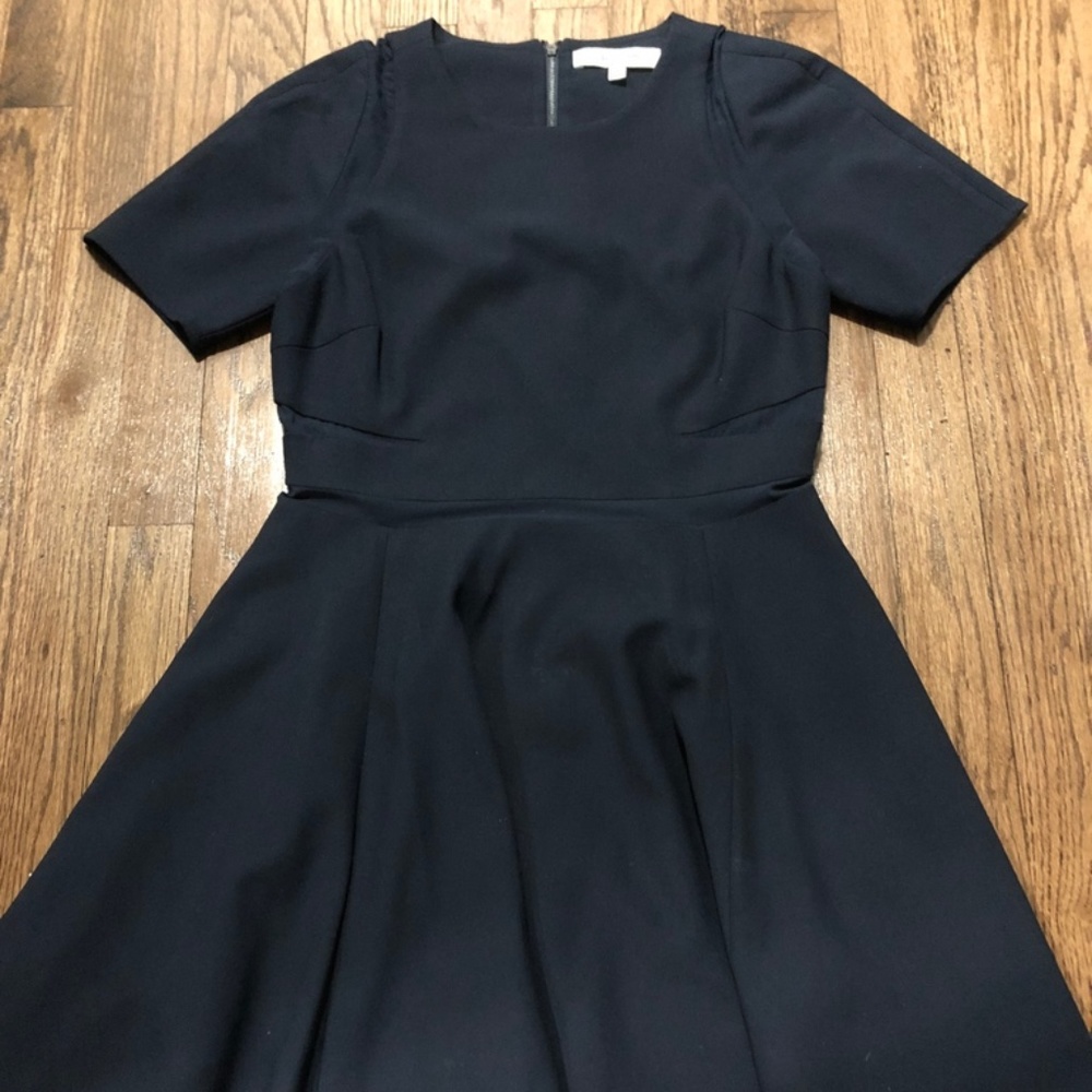 Elizabeth and James A-Line skirt with sheer detail